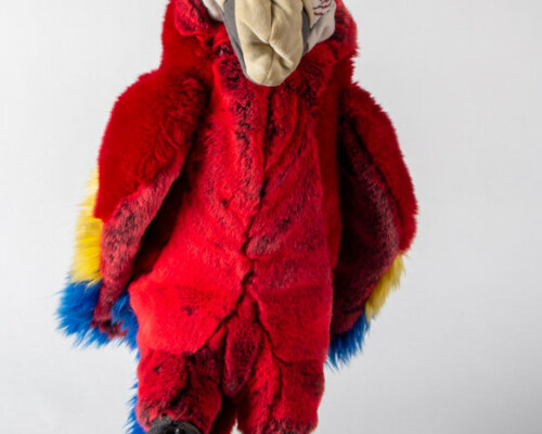 Front view of realistic looking parrot puppet.